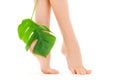 Female feet with green leaf Royalty Free Stock Photo