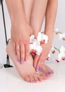 Elegance and Grace: Lilac Pedicure and Manicure Delight Royalty Free Stock Photo