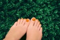 Female feet with orange nail design. Glitter orange nail polish pedicure on green leaves background Royalty Free Stock Photo