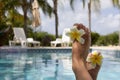 Female feet with plumeria flowers near swimming pool with view to the palm trees. Selective focus, blurred background. Royalty Free Stock Photo