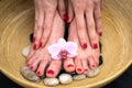 Female feet in spa bowl with sea salt, foot bath. Royalty Free Stock Photo