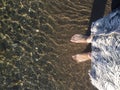 Female feet stand in the sand and clear sea water