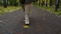 Female feet in stylish boots going in october park. Woman legs walking path. Royalty Free Stock Photo