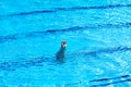 Feet of woman doing a handstand inside swimming pool