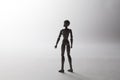 Female figurine silhouette standing looking to the left on white