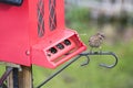 Finch at red bird feeder Royalty Free Stock Photo