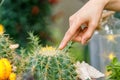 Female finger touching prickly green cactus