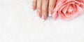 Female fingers with beautiful French tips manicure on white terry towel and a soft pink rose flower, close up, selective Royalty Free Stock Photo