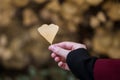 Female fingers holding heart shaped yellow leaf on autumn background. Autumn season love concept. Royalty Free Stock Photo