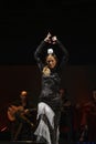Female flamenco dancer and singers performing on stage in Barcelona, Spain.