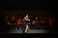 Female flamenco dancer and singers performing on stage in Barcelona, Spain.