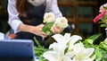 A female florist arranging white roses bouquet in her flower shop. Flower arranging workshop Royalty Free Stock Photo