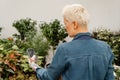 Female florist photographing a home plant in a pot on a mobile phone.