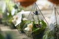 Female florist puts fresh succulent and rose flowers in glass florarium. Event fresh flowers decoration. Florist workflow. Wedding