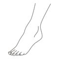 Female foot, leg standing on toes, line drawing of feet, isolated on white background vector illustration
