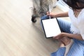 Female freelancer holding stylus pen writing on screen of tablet while sitting with her cat on floor.