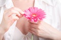 Female freshnes concept, pink flower gerbera in hand Royalty Free Stock Photo