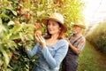 Female fruit grower inspecting apples with coworker