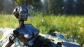 Female futuristic robot idle in forest. Concept of future. 3d rendering.
