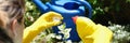 Female gardener adding fertilizer for plants to watering can