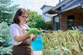 Female gardener cuts a hedge in backyard