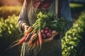 Female gardener hands holding harvested vegetables in the garden. Mature farmer with a bunch of self-grown goods. Growing own