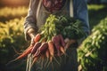 Female gardener hands holding harvested vegetables in the garden. Mature farmer with a bunch of self-grown goods. Growing own