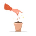 Female gardener hands plants spring seedlings in pot. Vector illustration in flat cartoon style. Organic greens concept