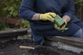 Female gardener holding a flowering plant ready to be planted in her garden Royalty Free Stock Photo