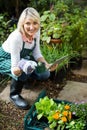 Female gardener holding potted plant while using digital tablet Royalty Free Stock Photo