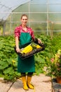 Female gardener in market garden or nursery