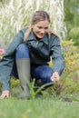 Female gardener removing weeds