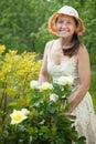 Female gardener in rose plant