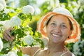 Female gardener in Roseum plant Royalty Free Stock Photo