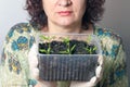 A female gardener shows a pot with sprouts after a pick