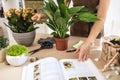 Female gardener studying gardening book at workshop transplantation houseplants