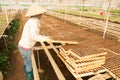 Female gardener working in garden