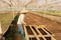 Female gardener working in garden