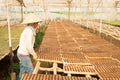 Female gardener working in garden