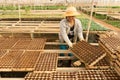 Female gardener working in garden