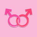 Female gay symbols icon Royalty Free Stock Photo