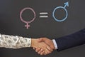 The female gender symbol is equal to the male concept of gender equality