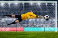 Female goalie is jumping for the ball on crowded stadium