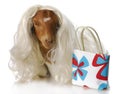 Female goat Royalty Free Stock Photo