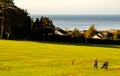 Female golfer in evening sunlight at Penmaenmawr Golf course