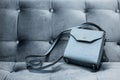 Female gray bag on luxury plush background.