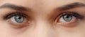 Female gray eyes close-up