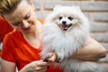 female groomer professionally cuts the claws of a Pomeranian dog