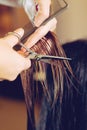 Female hair cutting scissors in a beauty salon Royalty Free Stock Photo