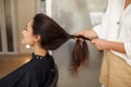 Female hairdresser combs woman`s hair, hairsalon Royalty Free Stock Photo